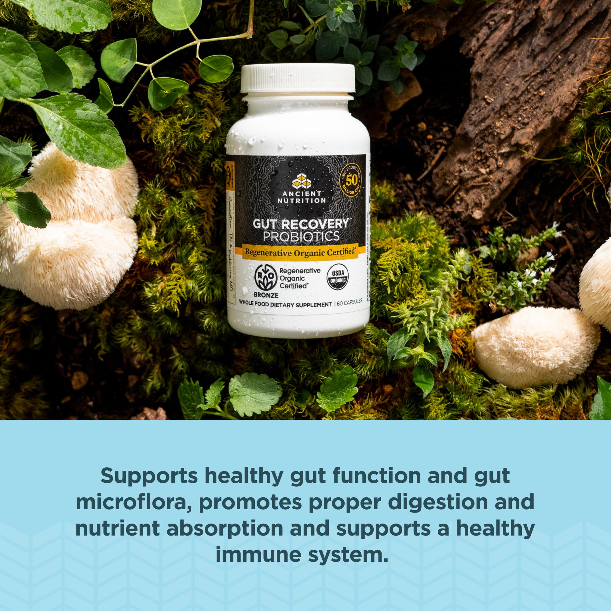 Ancient Nutrition capsulas en mano demostrando dosificación fácil