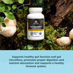 Ancient Nutrition capsulas en mano demostrando dosificación fácil