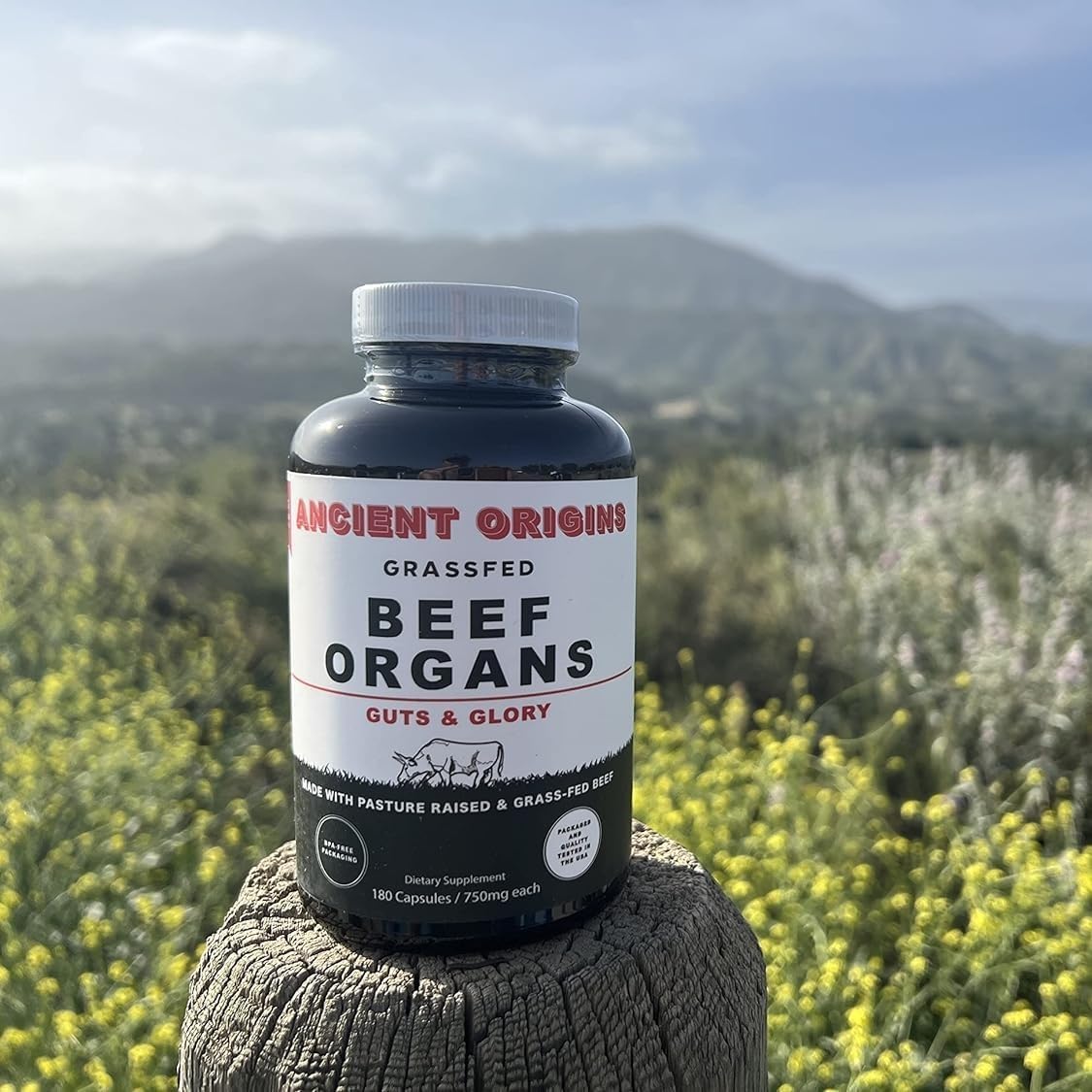 Ancient Origins ganado en pastura argentina, origen natural y crianza alimentada con pasto