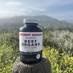 Ancient Origins ganado en pastura argentina, origen natural y crianza alimentada con pasto