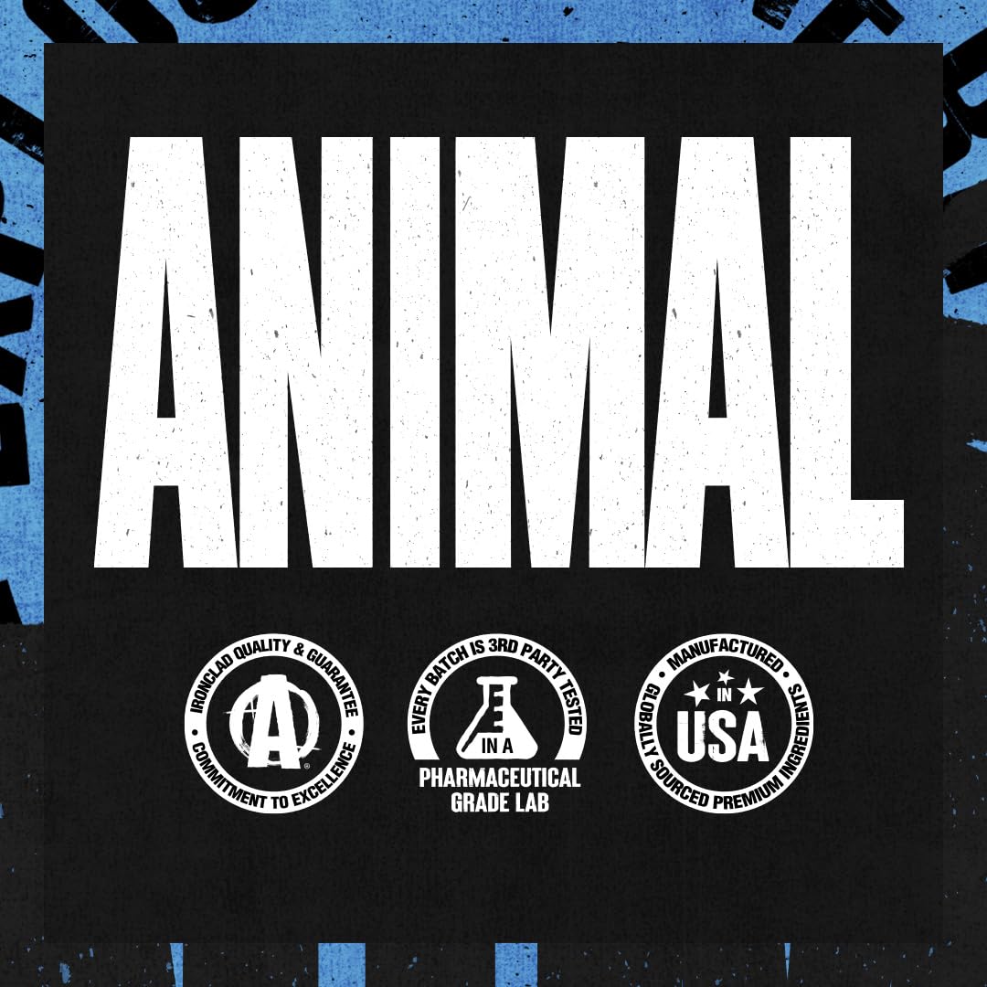 Animal consumo en exterior tras entrenamiento, fresco y ligero