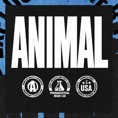 Animal consumo en exterior tras entrenamiento, fresco y ligero