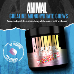 Animal cuatro tabletas masticables en mano para toma rápida y portátil