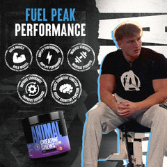 Animal creatine chews textura de la superficie y tamaño uniforme