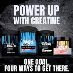 Atleta bebiendo Animal Creatine HMB+ después del entrenamiento para recuperación