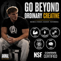 Cucharada de Animal creatine con polvo, dosificación clara y facilidad de uso