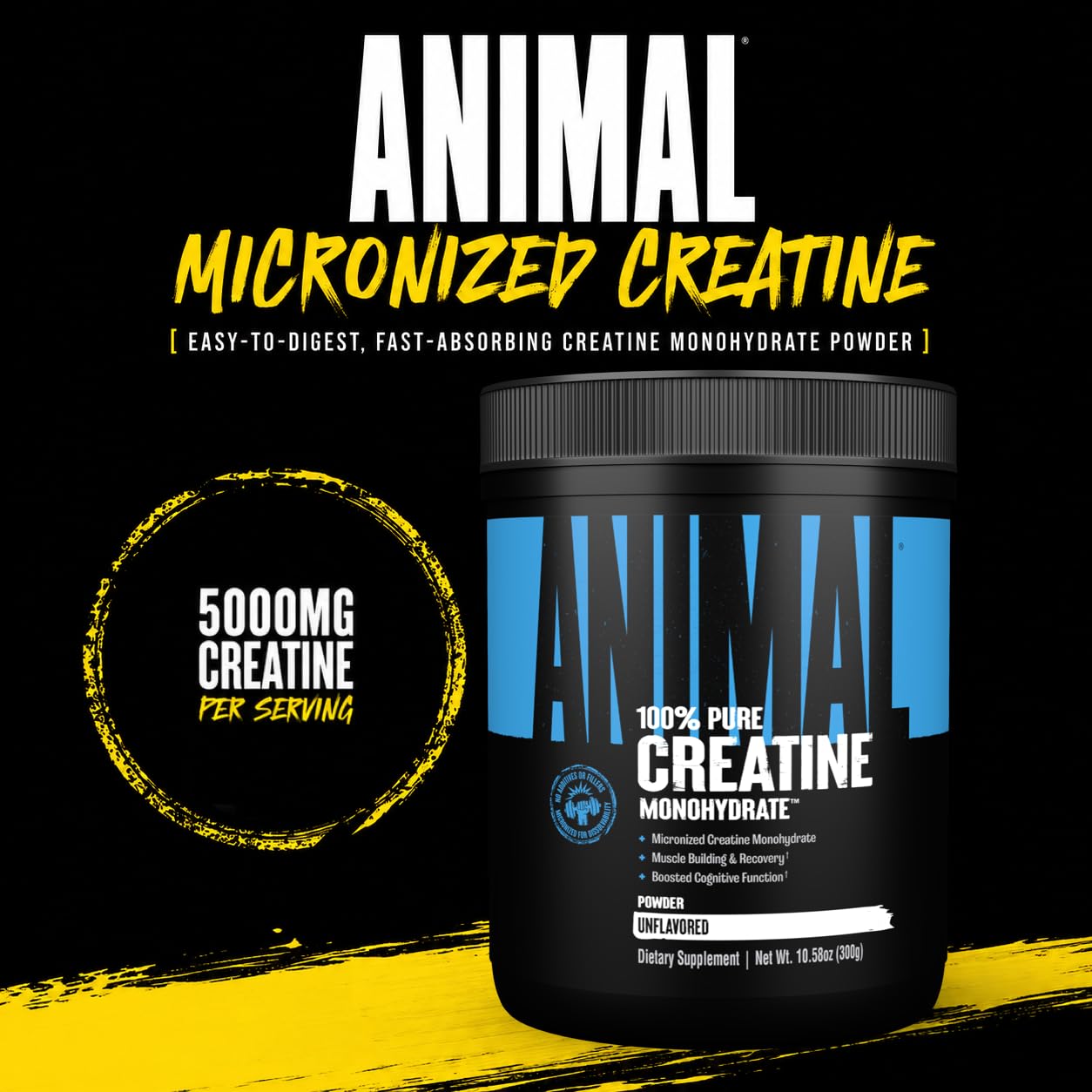 Polvo micronizado de Animal creatine en primer plano, textura fina mejora mezcla