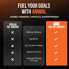 Cucharilla medidora junto al envase de Animal Fury para comparar tamaño, beneficio: dosificación precisa