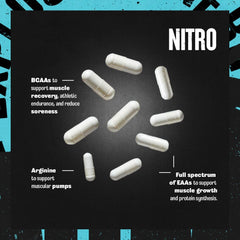 Animal Nitro comparación de escala con objeto cotidiano para referencia de tamaño