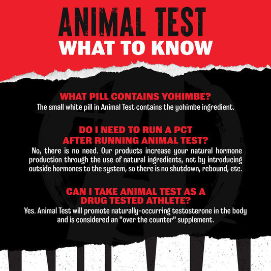 Detalle de un sobre Animal Test mostrando textura y mezcla, fácil absorción
