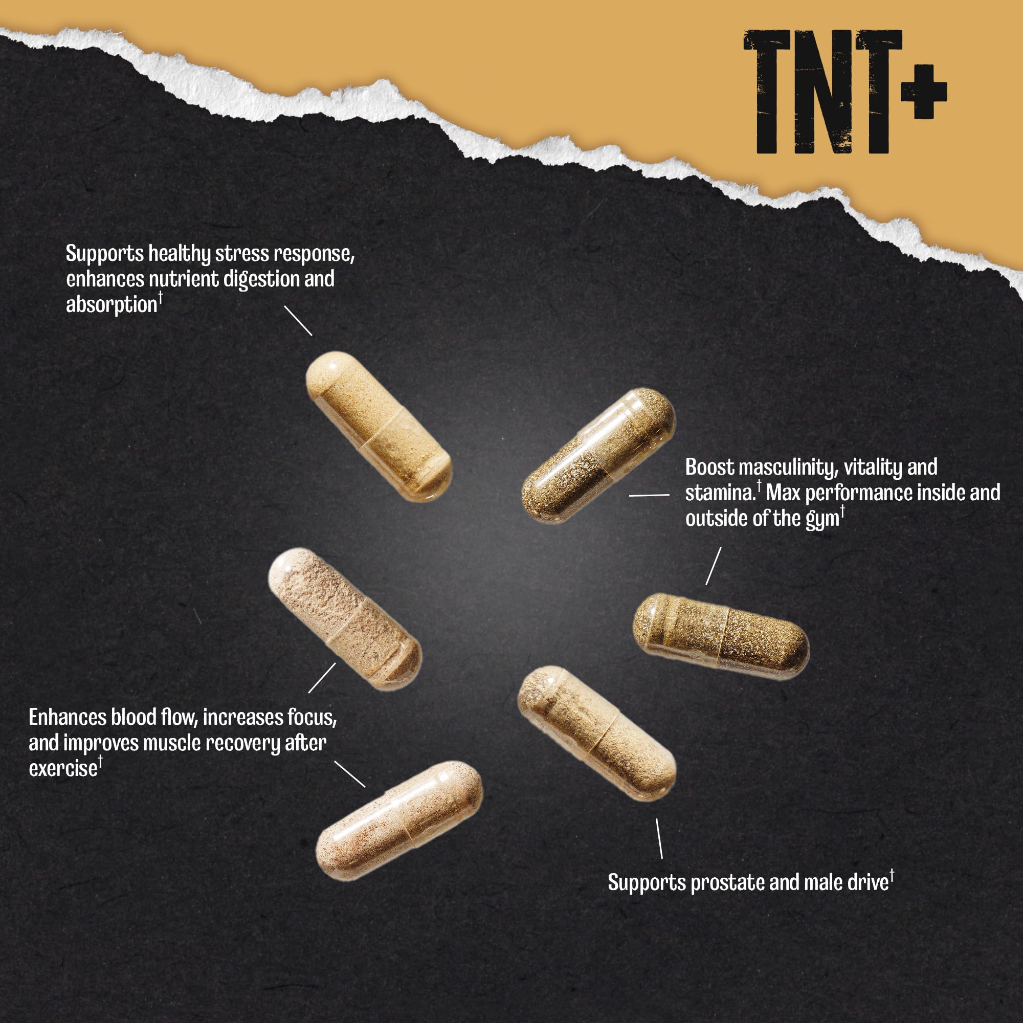 Animal TNT+ sobre abierto mostrando dosis individual y facilidad