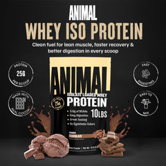 Animal Whey Isolate textura del polvo en cuchara fácil de mezclar