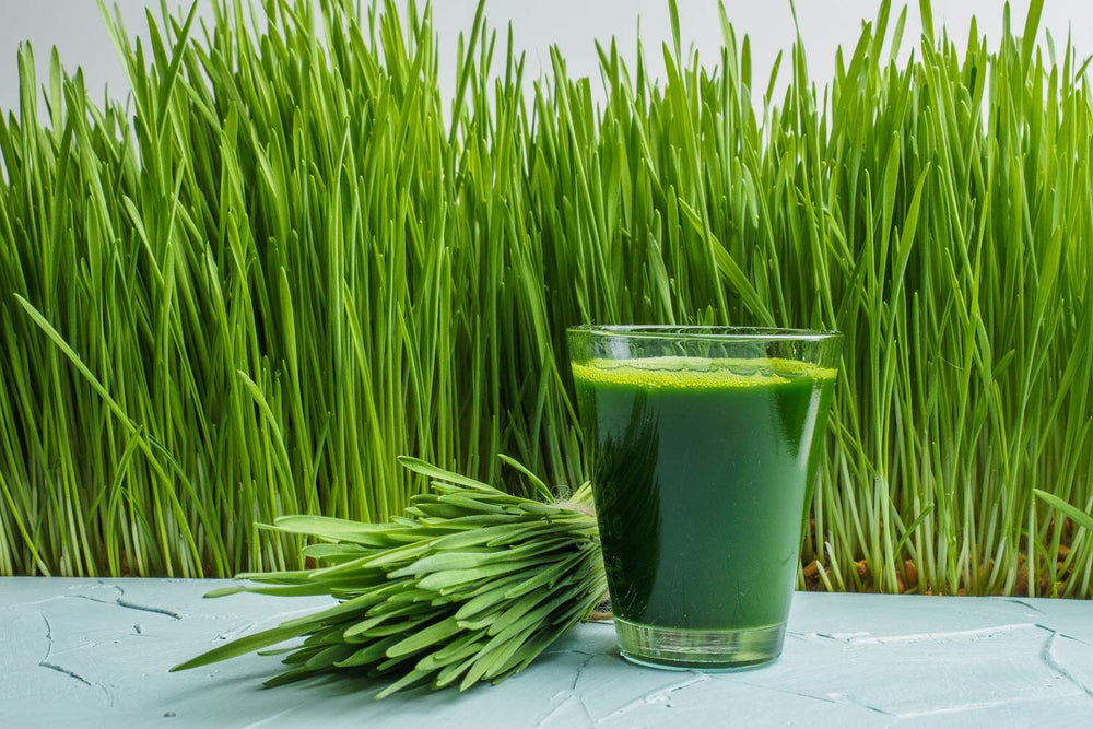 Antler Farms polvo mezclado en batido verde listo para beber y nutrir