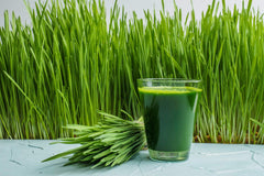 Antler Farms polvo mezclado en batido verde listo para beber y nutrir