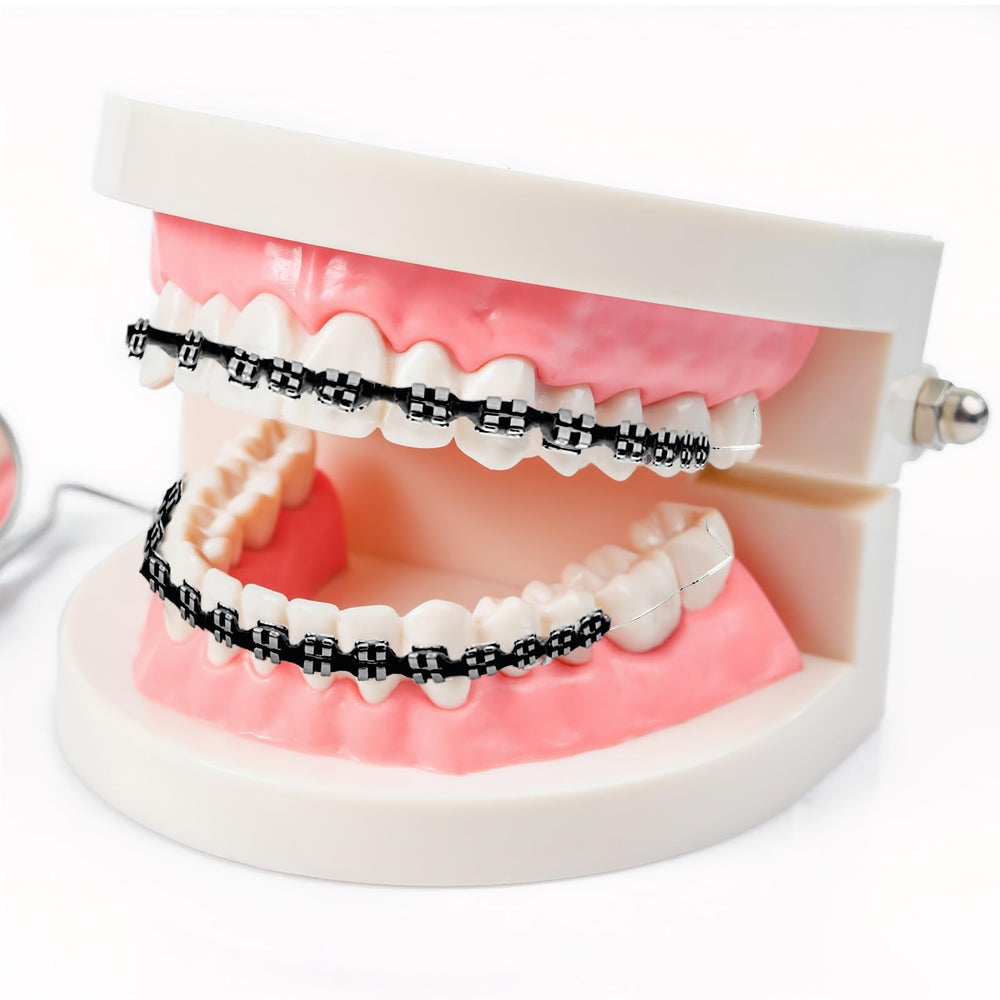 AQOYNQ brackets colocados en molde dental para práctica y demostración
