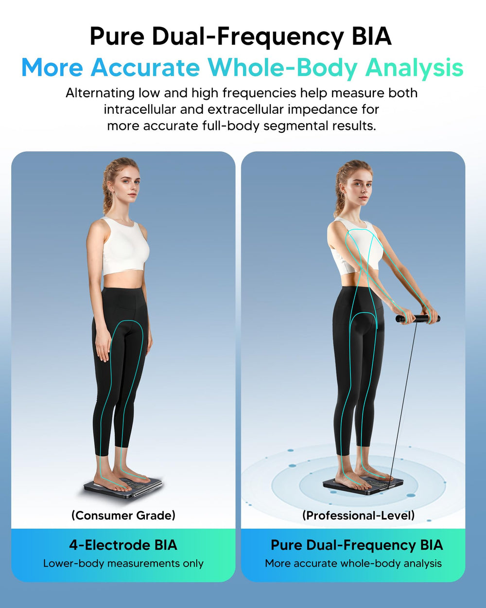 arboleaf app móvil con gráficos de tendencias para seguimiento y motivación