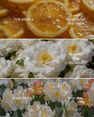 Aromadd detalle de textura del aceite para calidad y pureza