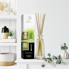 AROMATIKA difusor junto a objetos para apreciar tamaño y versatilidad