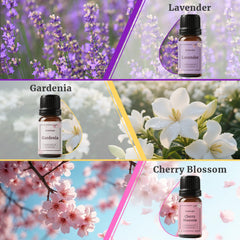 AROMTOPIA etiqueta con punto de inflamación y cumplimiento IFRA para seguridad