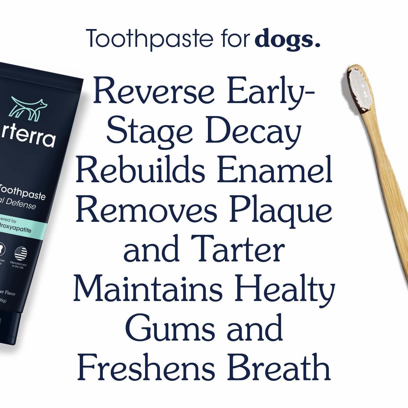 Arterra pasta en cepillo dental para perros, muestra uso práctico y aceptación canina