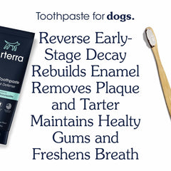 Arterra pasta en cepillo dental para perros, muestra uso práctico y aceptación canina