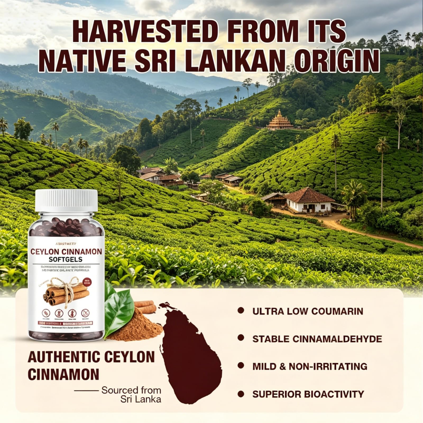 ASISTNETY etiqueta con información de ingredientes activos clara y legible