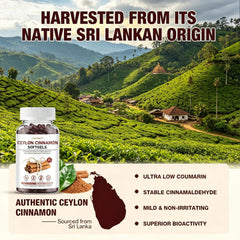 ASISTNETY etiqueta con información de ingredientes activos clara y legible