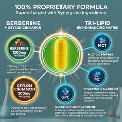 aSquared Nutrition diagrama de la matriz lipídica mostrando absorción mejorada