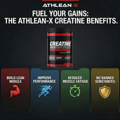 Textura del polvo micronizado ATHLEAN-X X-CREATINE para mejor disolución
