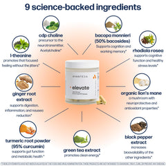 Avantera Elevate etiqueta de ingredientes, transparencia y composición clara