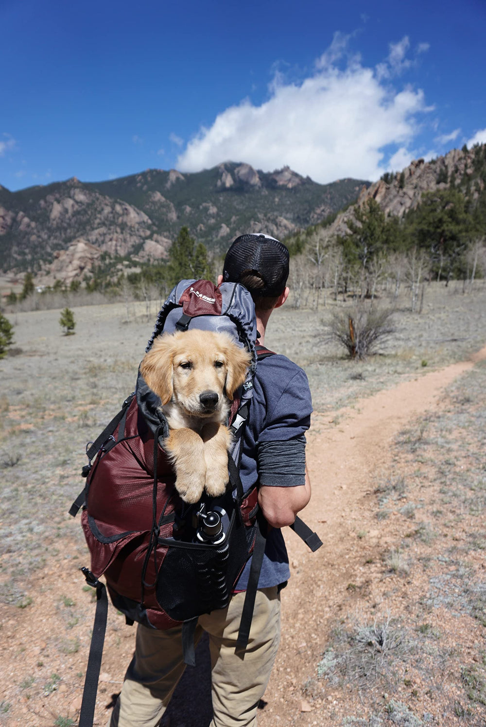 $averPak etiqueta con instrucciones, garantiza uso correcto y seguro