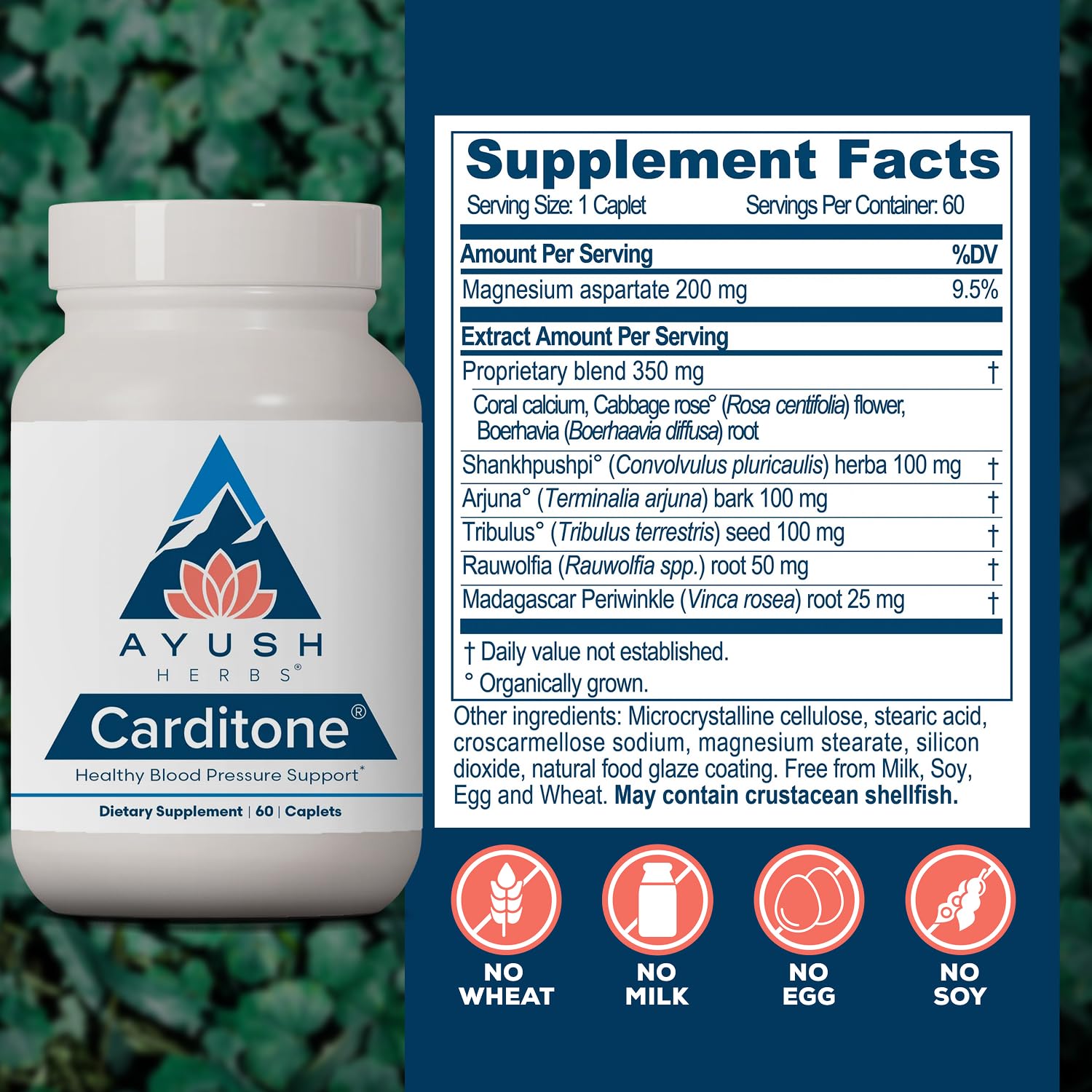 Ayush Herbs Carditone cápsulas mostrando textura y calidad vegetal