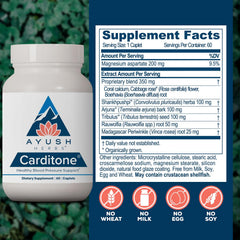 Ayush Herbs Carditone cápsulas mostrando textura y calidad vegetal