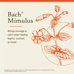 Bach Mimulus frasco en mano demostrando tamaño portátil y uso fácil