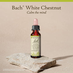 Bach White Chestnut la esencia en un ambiente relajado para enfoque y descanso