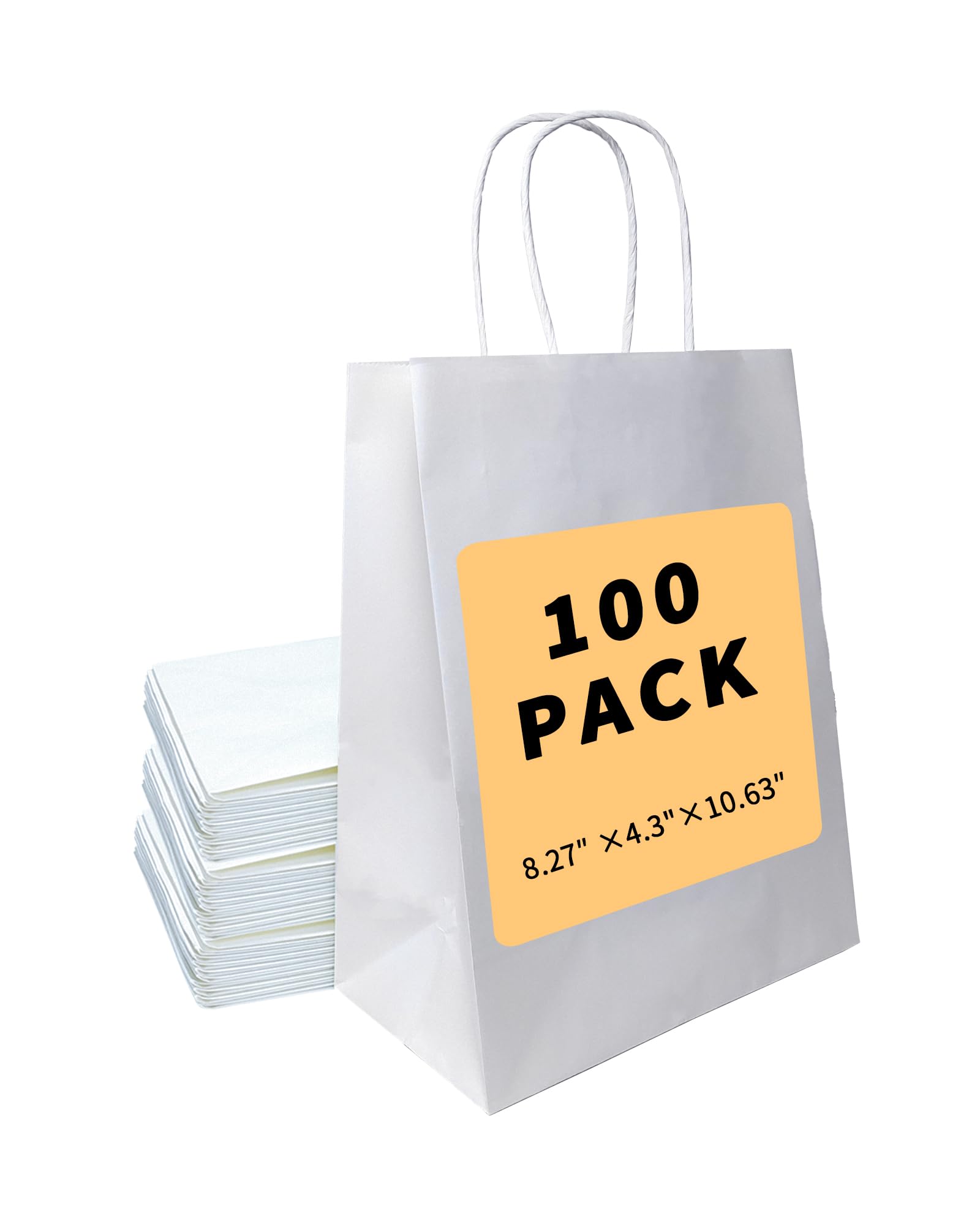 BAG BOX vista frontal del paquete con 100 bolsas, solución económica