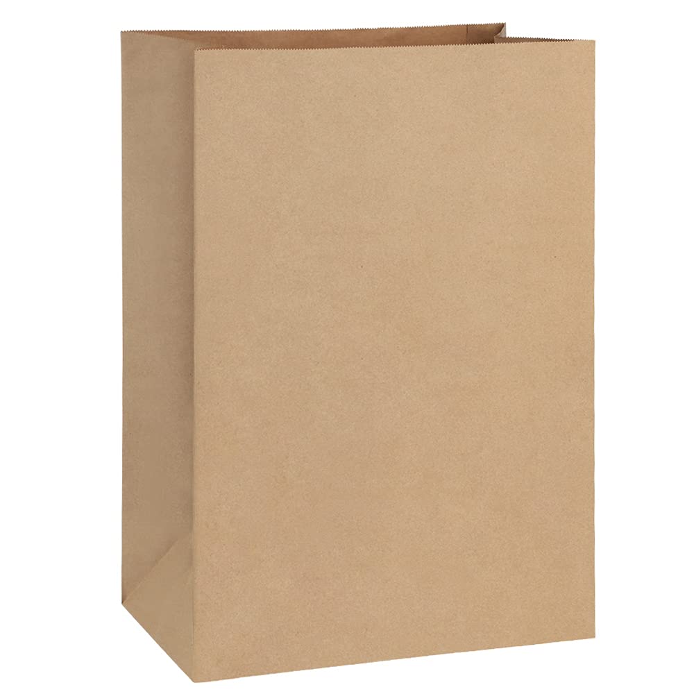 BagDream paquete frontal mostrando 100 bolsas resistentes y uso múltiple