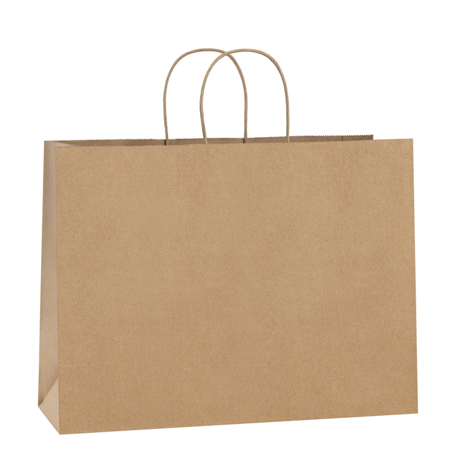 BagDream bolsa kraft frontal mostrando paquete de 100, solución ecológica