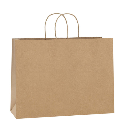 BagDream bolsa kraft frontal mostrando paquete de 100, solución ecológica