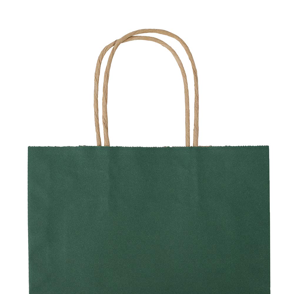 bagmad bolsa en uso con productos de compra demostrando capacidad