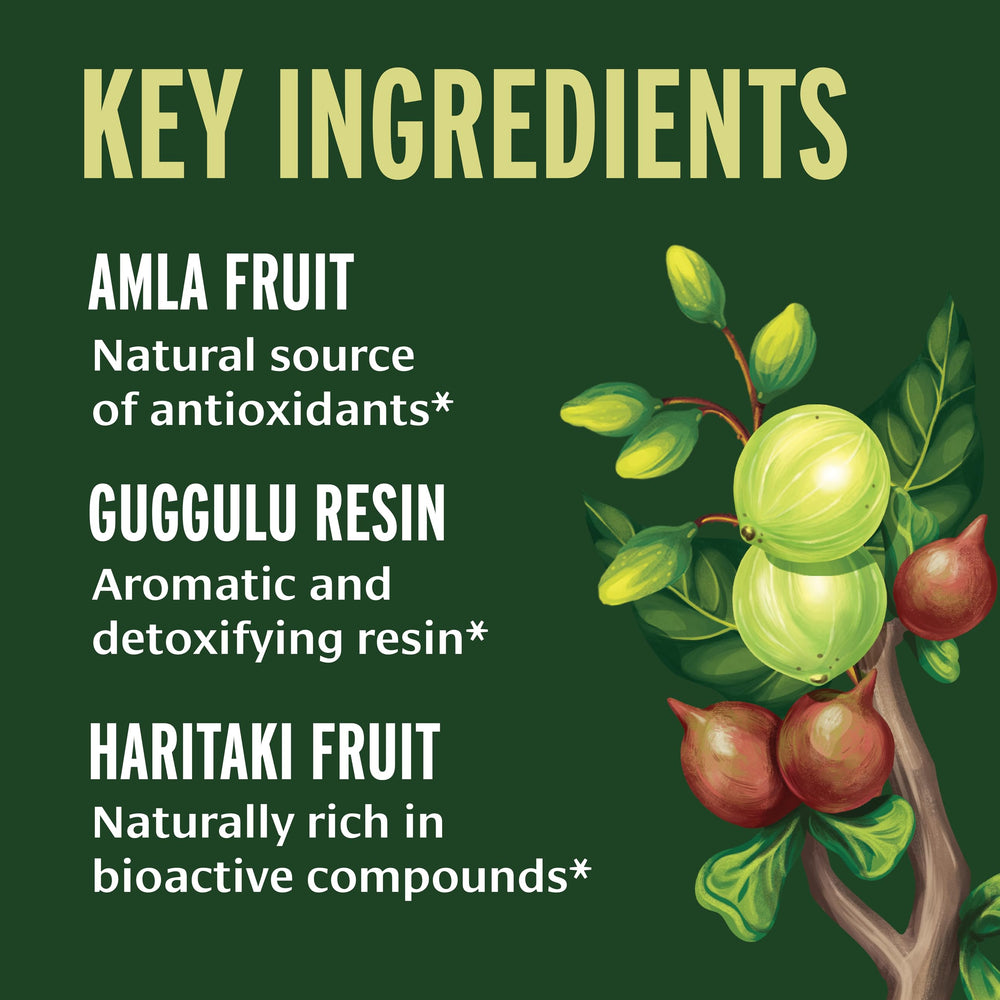 Banyan Botanicals ingredientes Triphala y Guggulu juntos resaltando sinergia herbal
