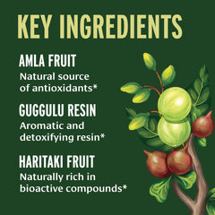 Banyan Botanicals ingredientes Triphala y Guggulu juntos resaltando sinergia herbal