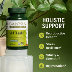 Banyan Botanicals primer plano de tabletas mostrando textura y pureza