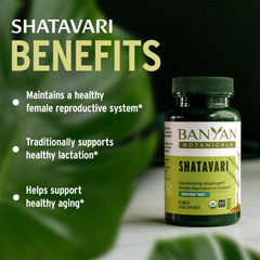 Banyan Botanicals tabletas junto a regla para comparar tamaño práctico