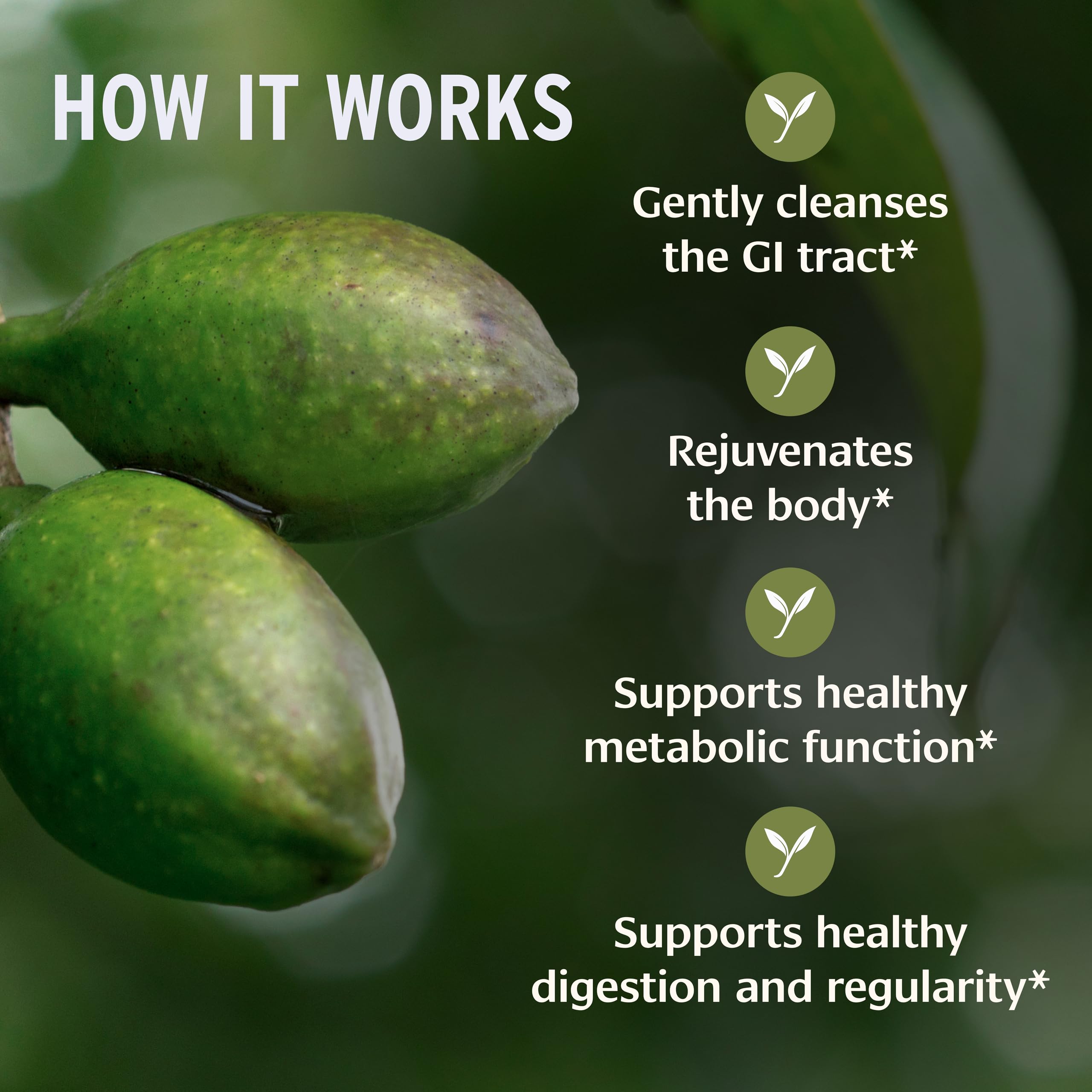 Banyan Botanicals tabletas en mano para comparar tamaño y conveniencia