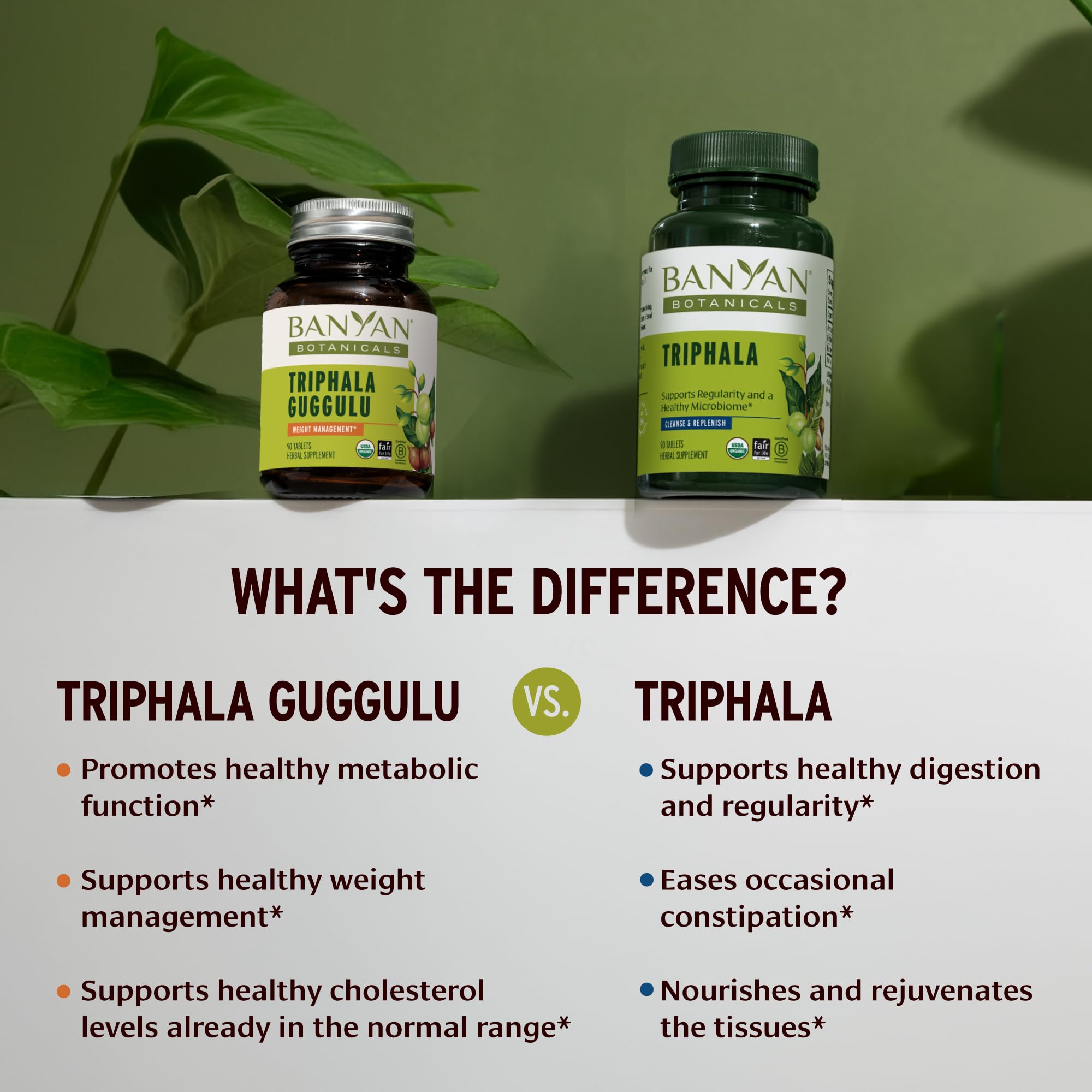 Banyan Botanicals tabletas en mano para comparar tamaño y facilidad de ingestión