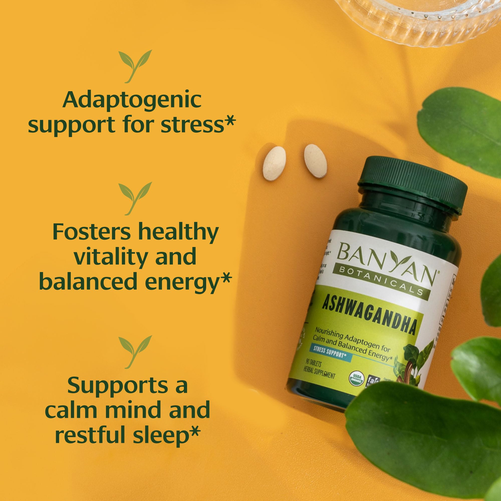 Banyan Botanicals dos tabletas en mano para dosificación clara y práctica