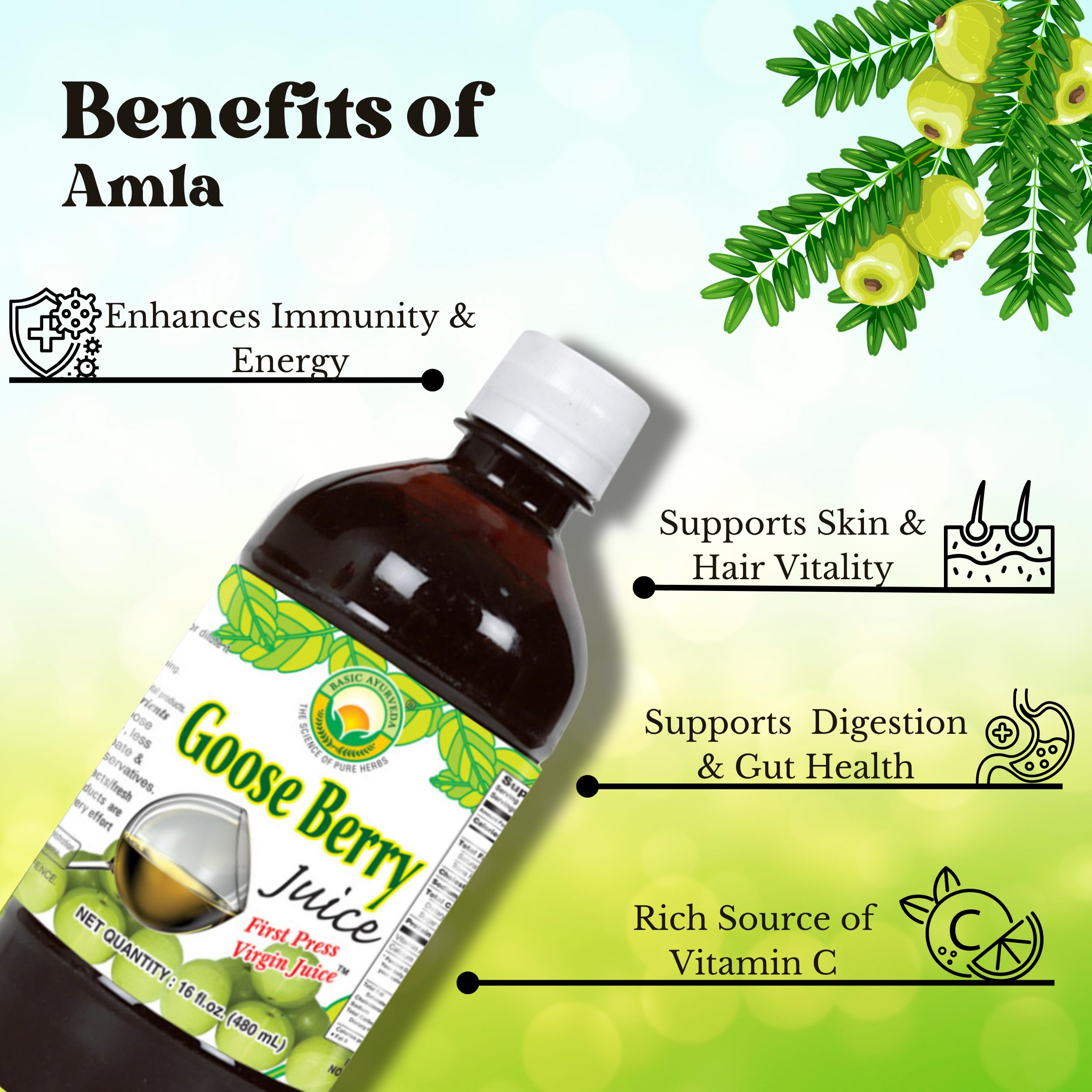 Basic Ayurveda ingredientes frescos amla sobre madera destacando origen natural