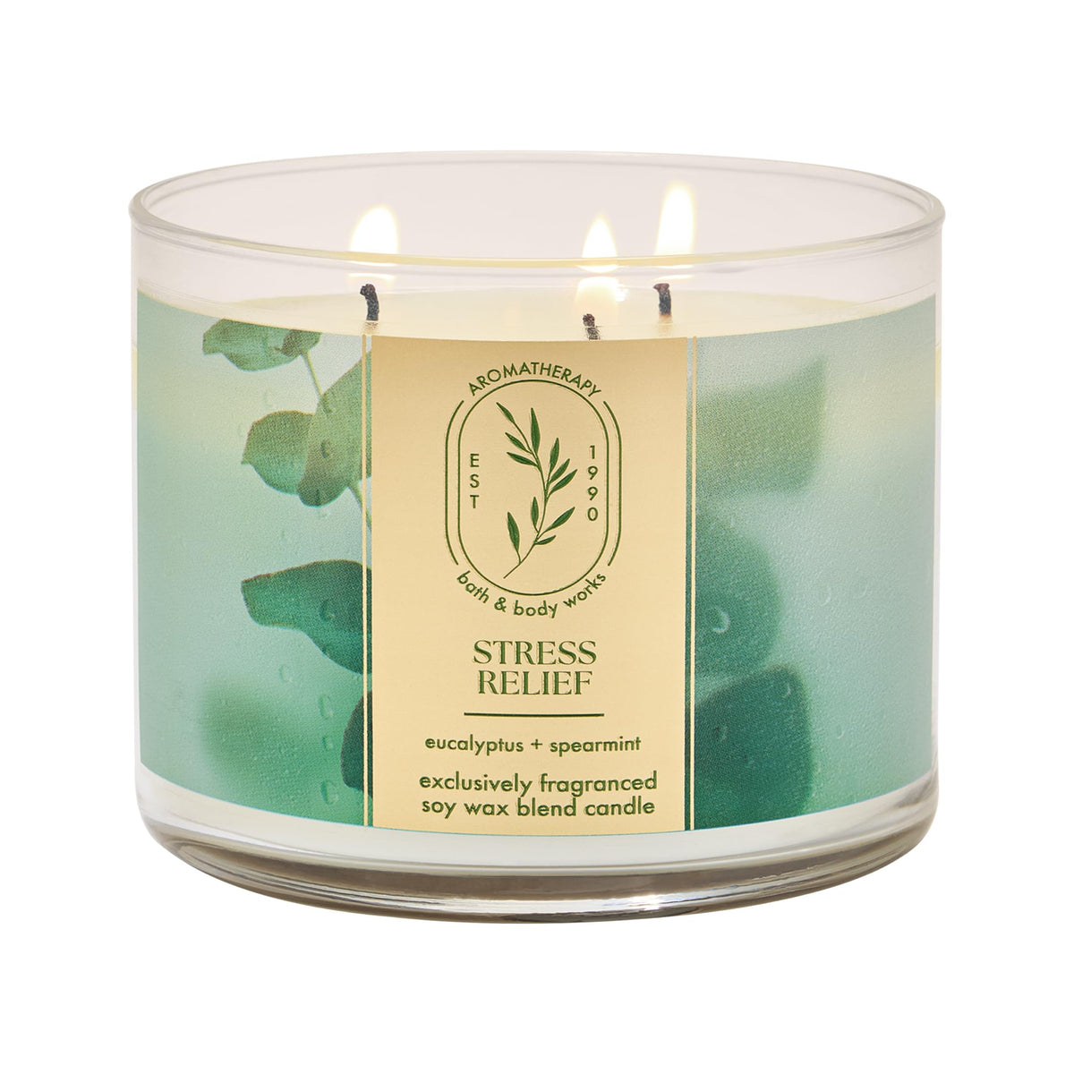 Bath & Body Works vela frente mostrando el jarro y aroma fresco