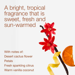 Bath & Body Works vela Cactus Blossom con tres mechas encendidas, quema uniforme